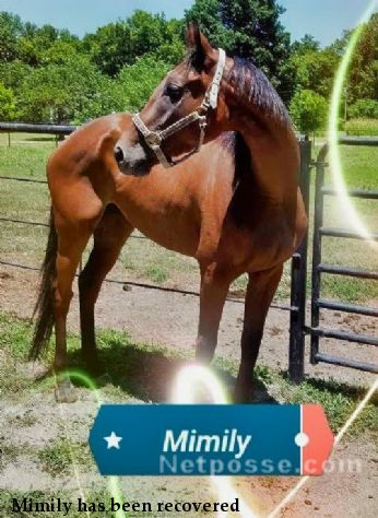 Mimily has been recovered